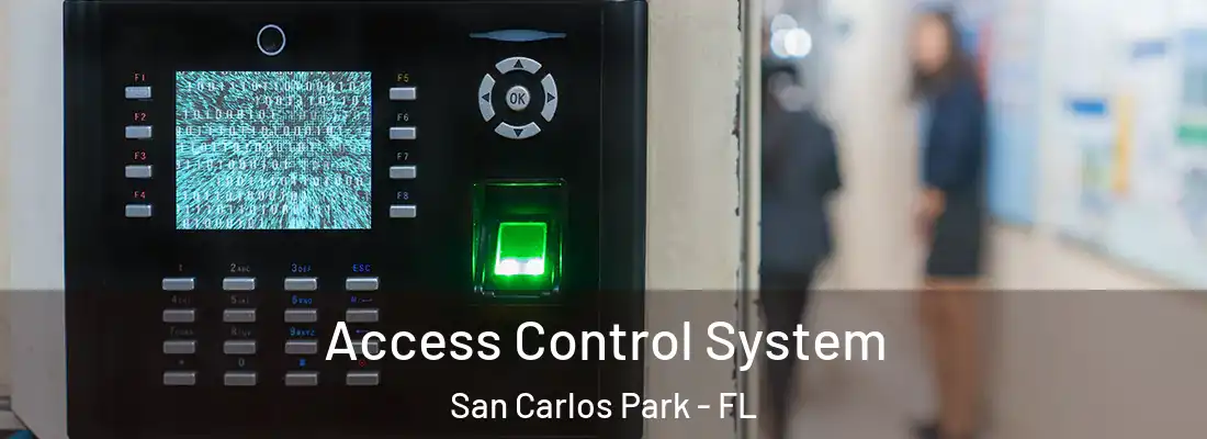  Access Control System San Carlos Park - FL
