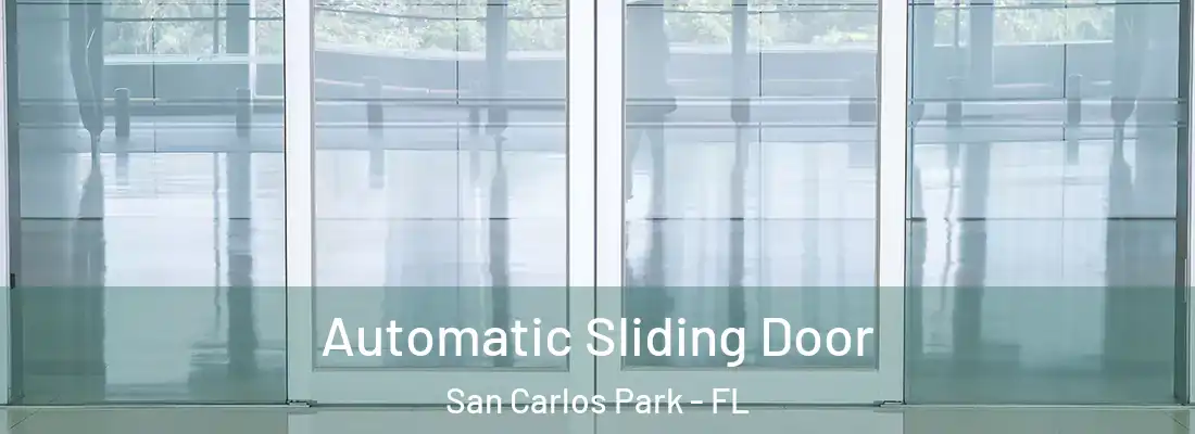  Automatic Sliding Door San Carlos Park - FL
