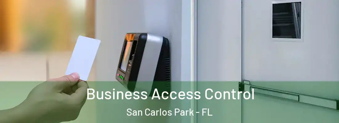  Business Access Control San Carlos Park - FL
