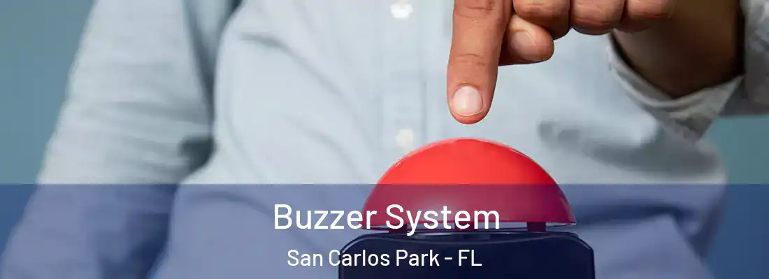  Buzzer System San Carlos Park - FL