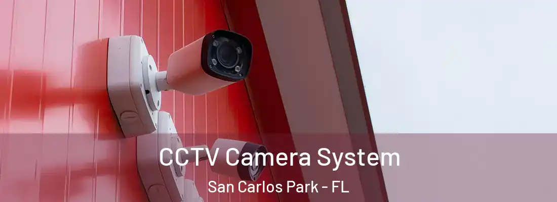  CCTV Camera System San Carlos Park - FL