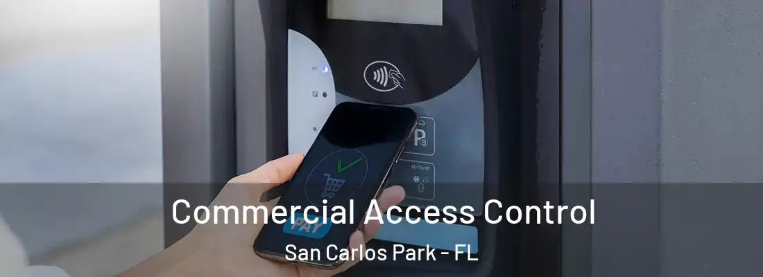  Commercial Access Control San Carlos Park - FL
