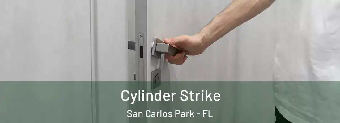  Cylinder Strike San Carlos Park - FL