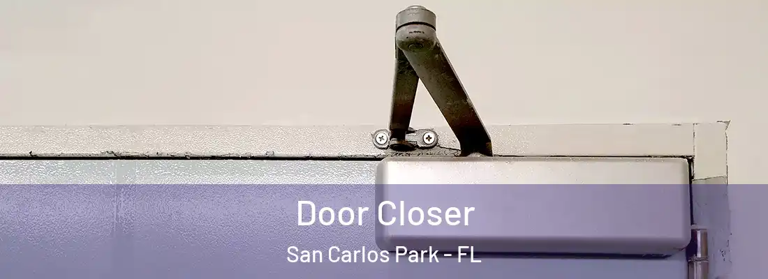 Door Closer San Carlos Park - FL