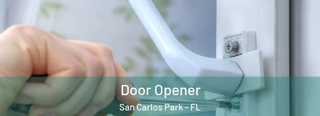  Door Opener San Carlos Park - FL