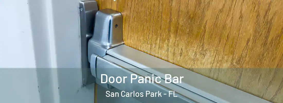  Door Panic Bar San Carlos Park - FL