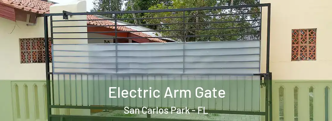  Electric Arm Gate San Carlos Park - FL