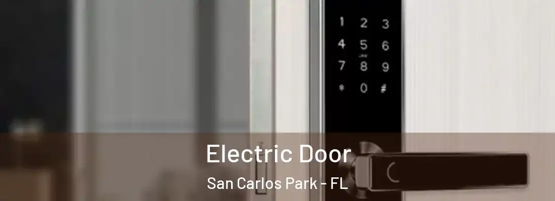  Electric Door San Carlos Park - FL