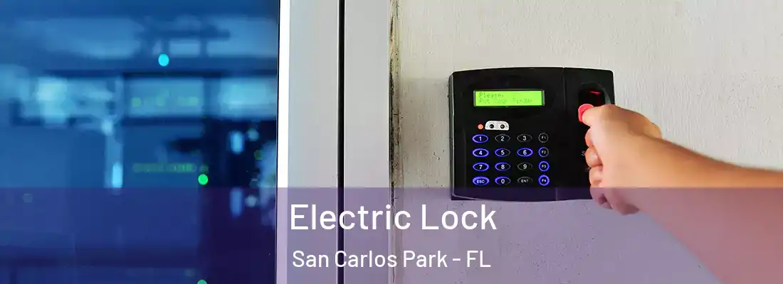 Electric Lock San Carlos Park - FL