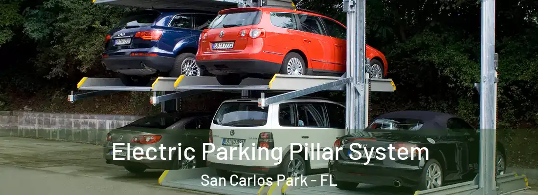  Electric Parking Pillar System San Carlos Park - FL