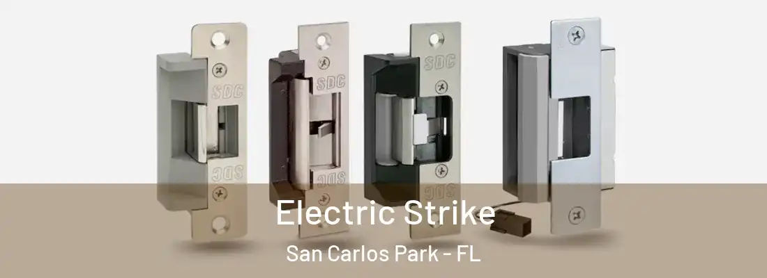  Electric Strike San Carlos Park - FL