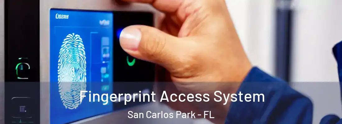  Fingerprint Access System San Carlos Park - FL