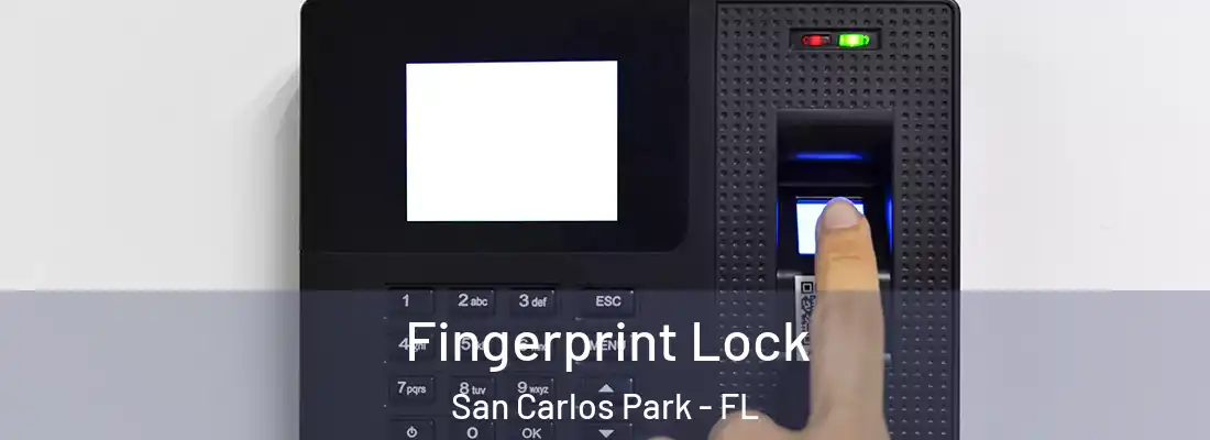  Fingerprint Lock San Carlos Park - FL