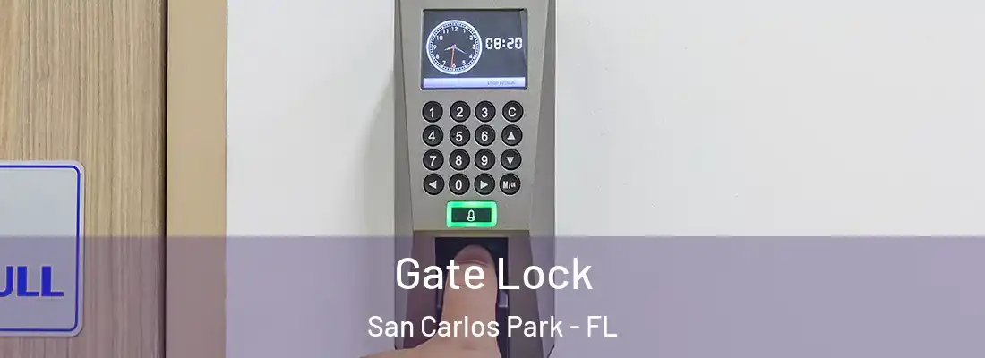  Gate Lock San Carlos Park - FL