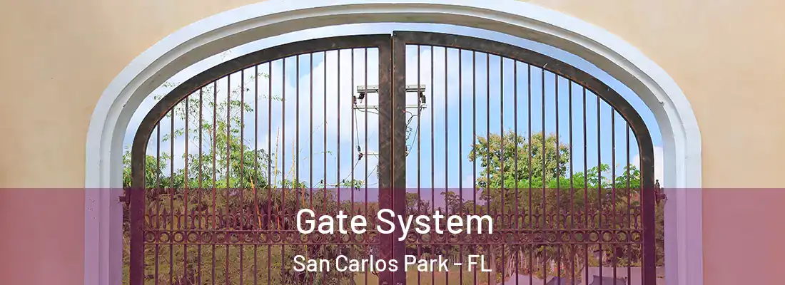  Gate System San Carlos Park - FL
