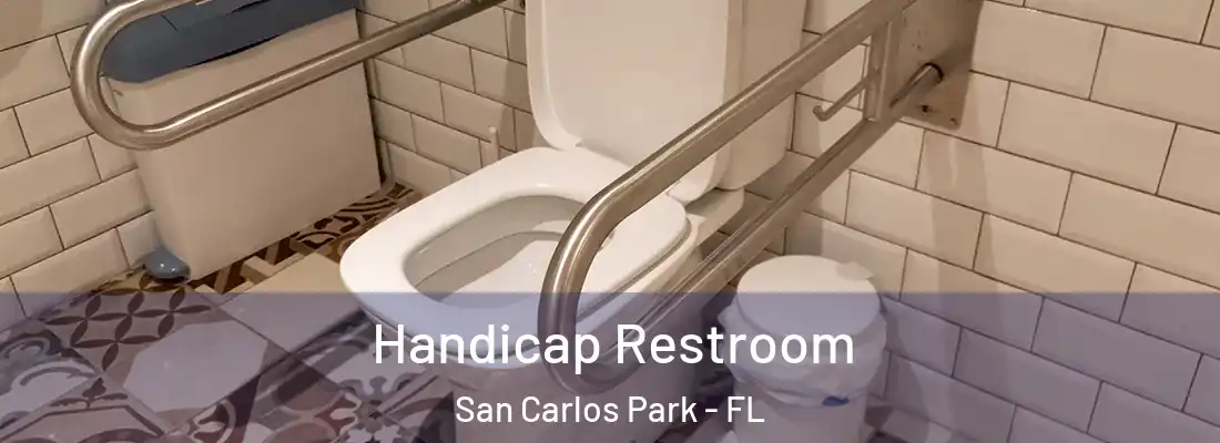  Handicap Restroom San Carlos Park - FL