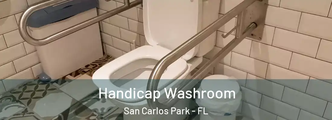  Handicap Washroom San Carlos Park - FL