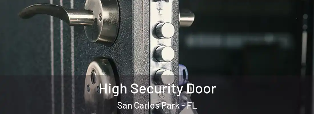  High Security Door San Carlos Park - FL