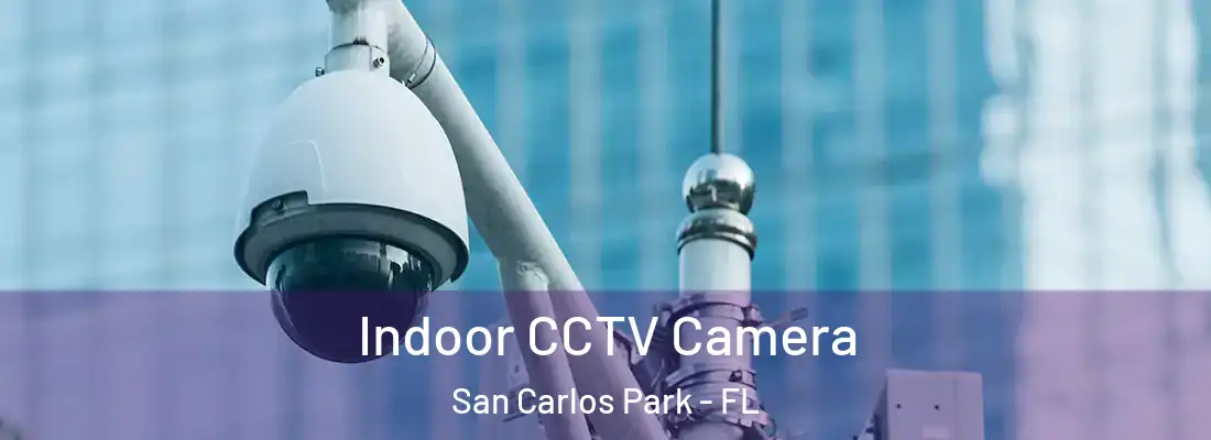  Indoor CCTV Camera San Carlos Park - FL