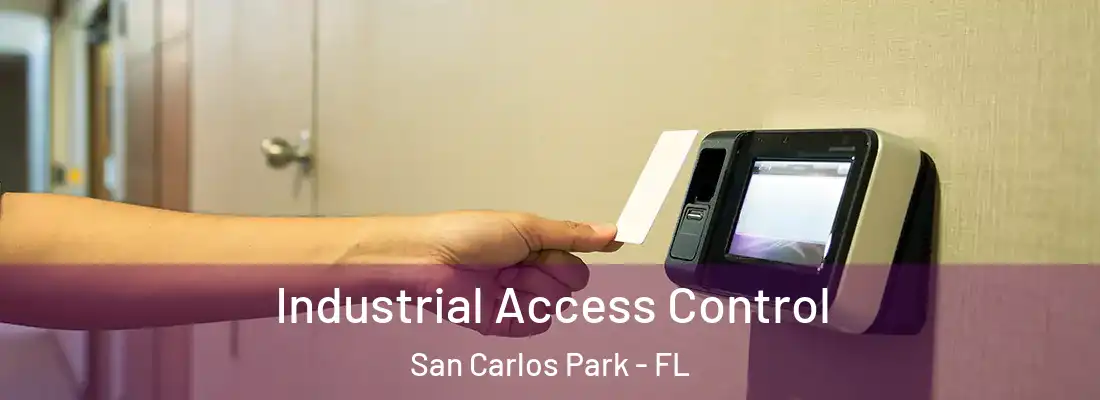  Industrial Access Control San Carlos Park - FL