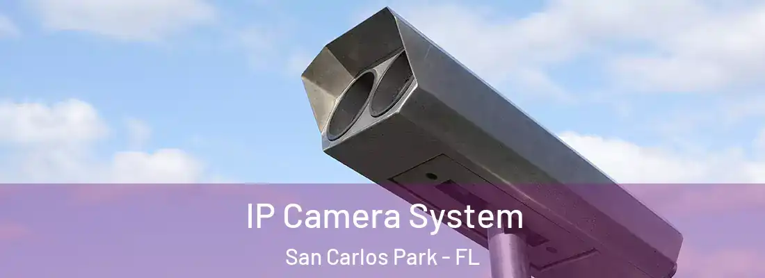  IP Camera System San Carlos Park - FL