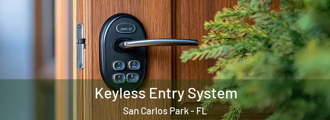 Keyless Entry System San Carlos Park - FL