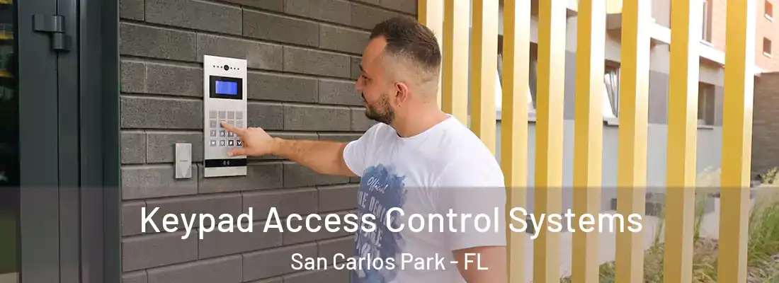  Keypad Access Control Systems San Carlos Park - FL