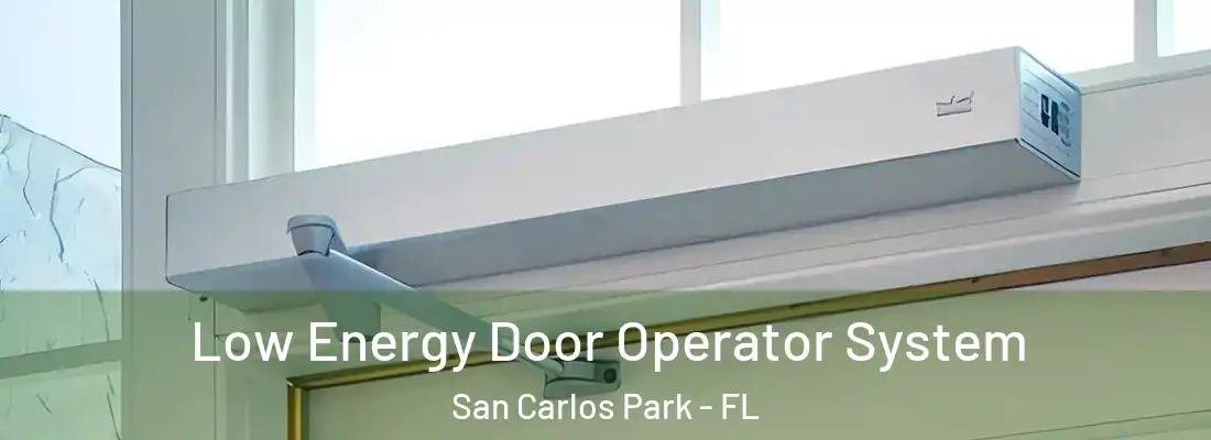  Low Energy Door Operator System San Carlos Park - FL