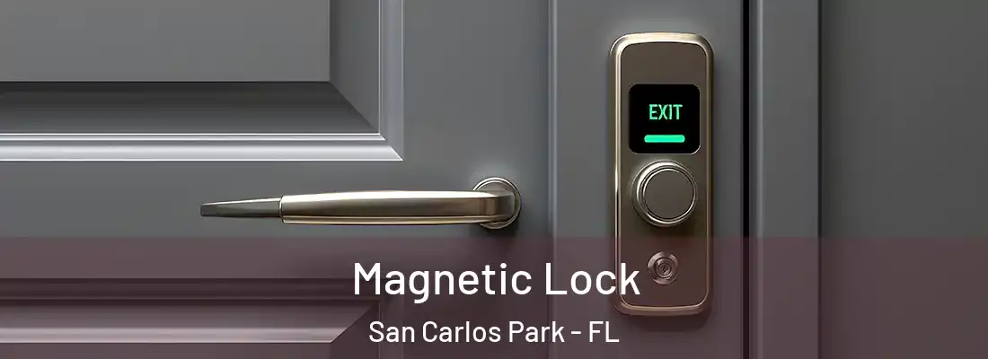  Magnetic Lock San Carlos Park - FL