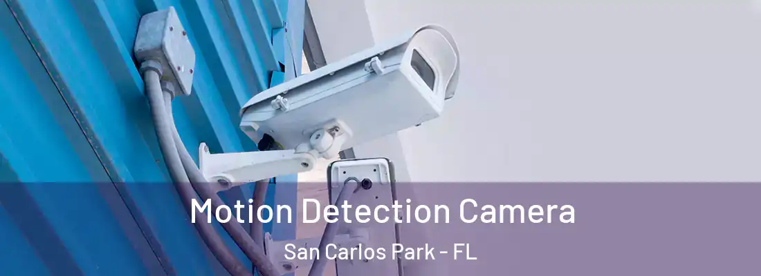  Motion Detection Camera San Carlos Park - FL