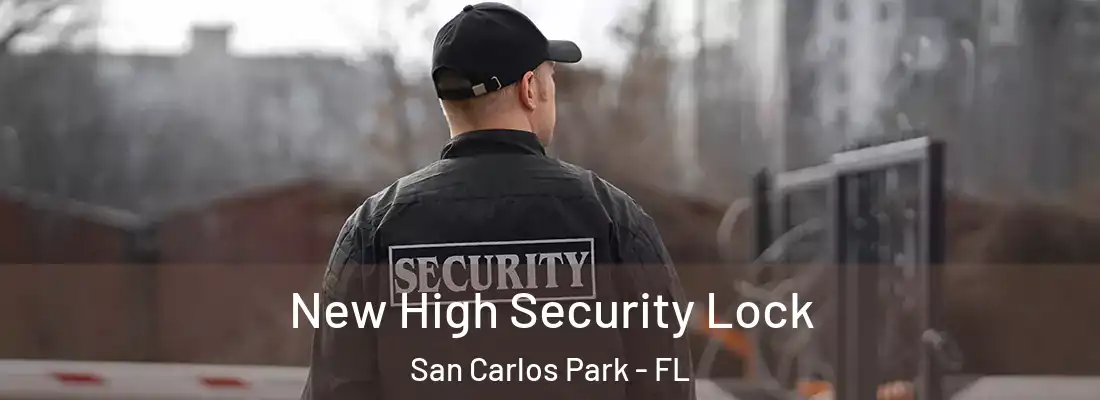 New High Security Lock San Carlos Park - FL