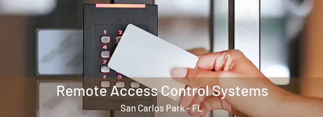  Remote Access Control Systems San Carlos Park - FL