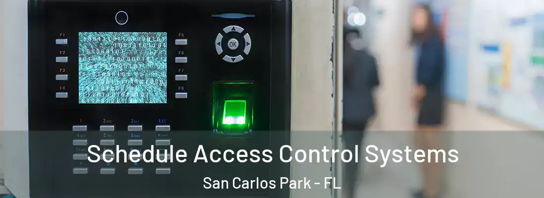  Schedule Access Control Systems San Carlos Park - FL
