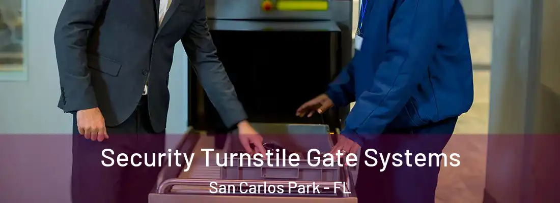  Security Turnstile Gate Systems San Carlos Park - FL