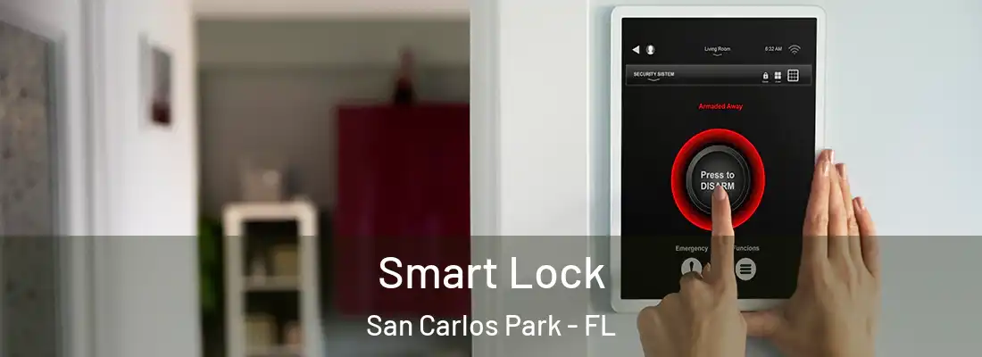  Smart Lock San Carlos Park - FL