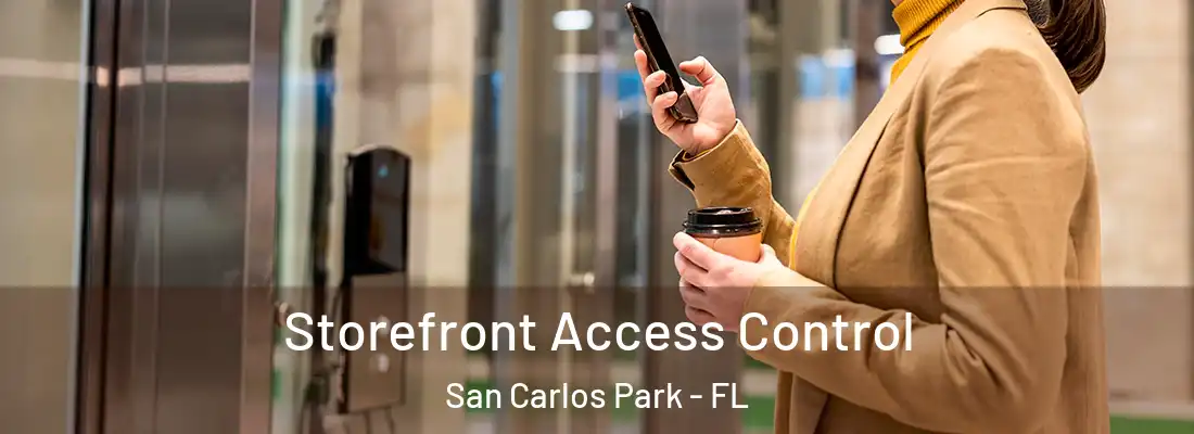  Storefront Access Control San Carlos Park - FL